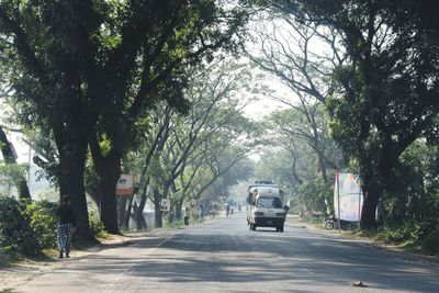 Cars on road along trees