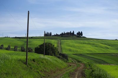 Scenic view of agricultural field against sky