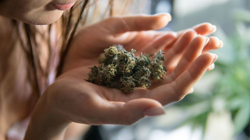 Midsection of woman holding marijuana joint