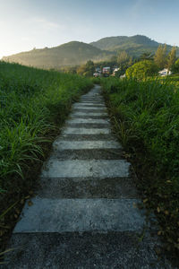 Empty pathway amidst grassy field against sky