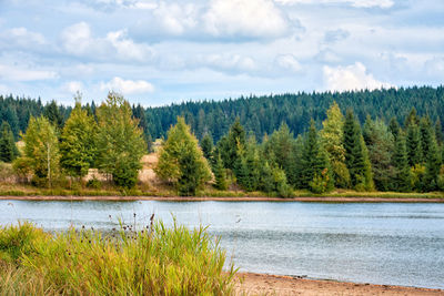 Scenic view of lake by trees against sky