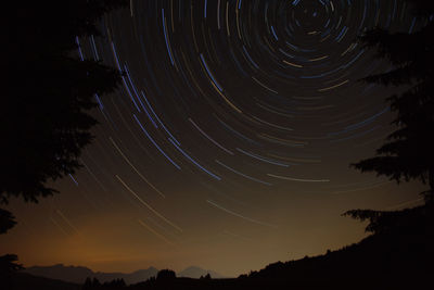 Low angle view of silhouette trees against sky at night