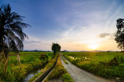 Dirt road amidst field against sky