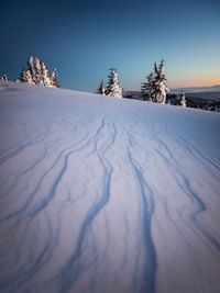 Scenic view of snow covered landscape