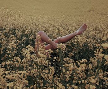 Side view of woman with pink flowers on field