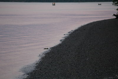 Scenic view of beach