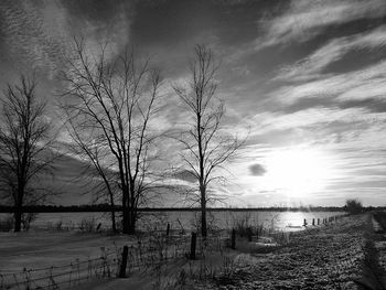 Bare trees by lake against sky during sunset