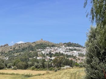 Scenic view of landscape against clear blue sky