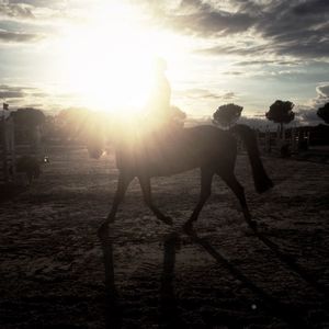 Sun shining through clouds