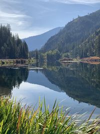 Scenic view of lake by trees against sky