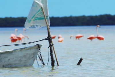 Close-up of boat in water