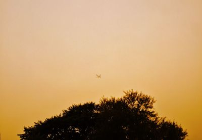 Low angle view of silhouette bird flying against clear sky