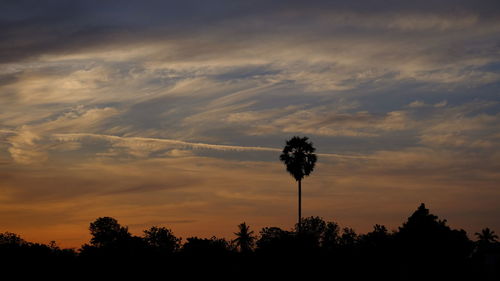 Low angle view of silhouette trees against sky during sunset