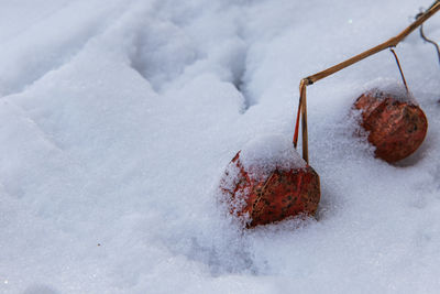 Close-up of snow covered land on field