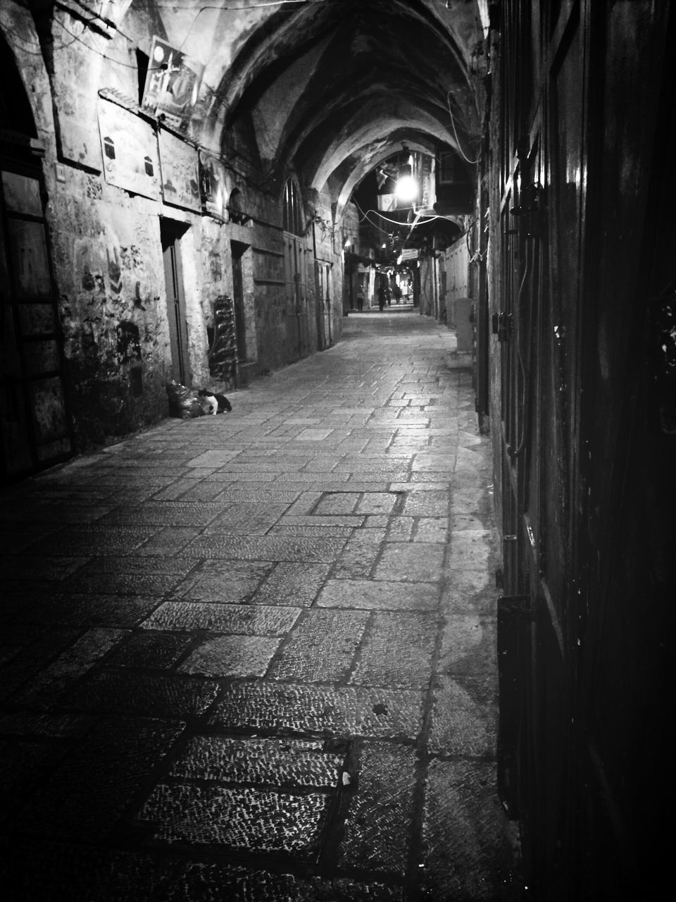 indoors, architecture, the way forward, arch, built structure, corridor, diminishing perspective, narrow, archway, vanishing point, empty, church, building, door, walkway, old, ceiling, architectural column, alley, history