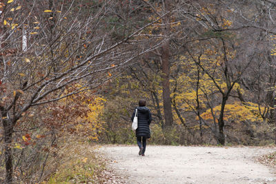 Rear view of man walking on footpath in forest