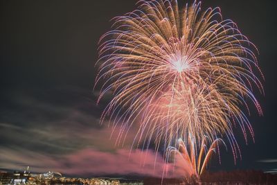 Low angle view of firework display at night