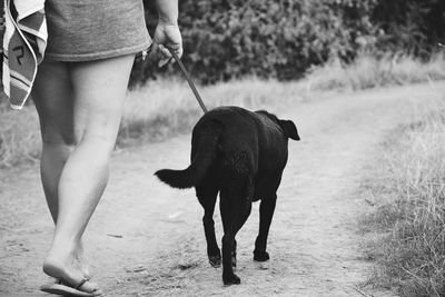 Low section of person with dog on field