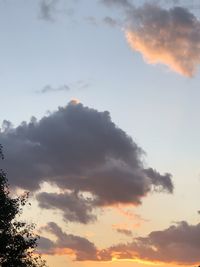 Low angle view of silhouette trees against sky during sunset