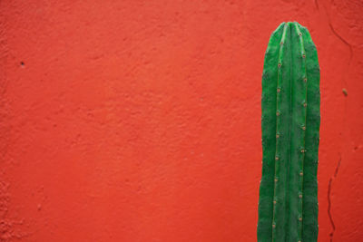 Close-up of wooden fence against red wall