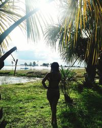 Rear view of woman standing by tree against sky