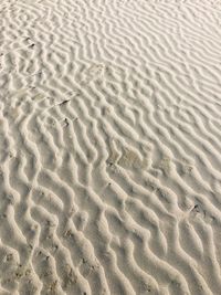 Full frame shot of sand dune