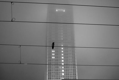 Low angle view of illuminated lights on building