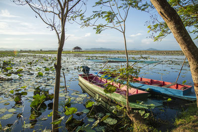 Boats moored in lake