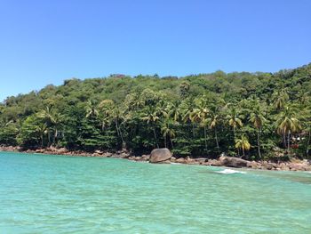 Scenic view of sea against clear blue sky