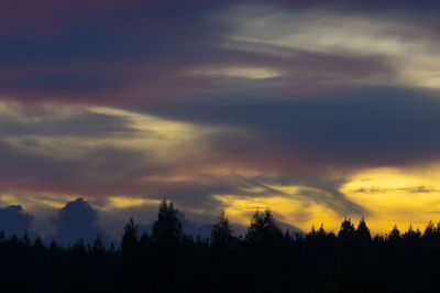 Silhouette of trees against dramatic sky