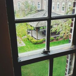 Trees seen through window