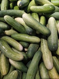 Pile of cucumbers in a basket at the market