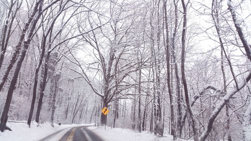 Snow covered road amidst bare trees in forest