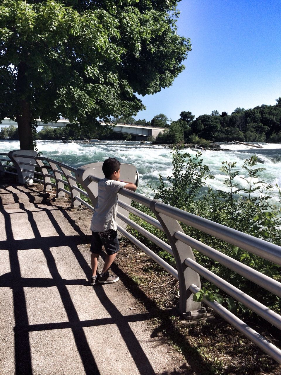 railing, water, tree, lifestyles, rear view, full length, leisure activity, wood - material, sunlight, person, men, nature, tranquility, standing, relaxation, casual clothing, bench, pier