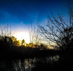 Silhouette plants by lake against sky during sunset