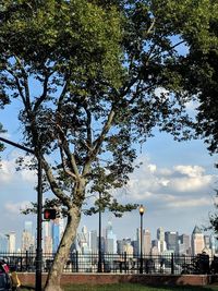 Trees and buildings in city against sky