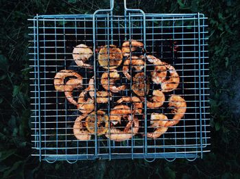 High angle view of prawns on grill