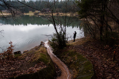 Reflection of trees on lake in forest