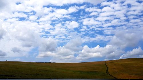 Scenic view of agricultural field against sky