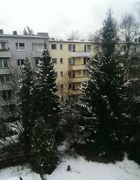 snow