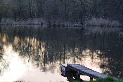 Scenic view of lake in forest