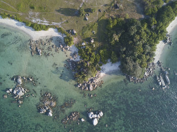 High angle view of trees on beach