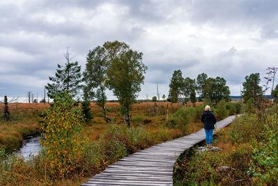 Rear view of person walking on plants by trees against sky