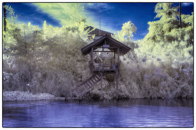 Digital composite image of trees and plants in lake against sky
