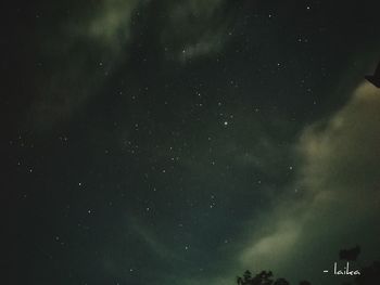 Low angle view of trees against sky at night