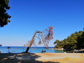 Scenic view of beach against clear blue sky