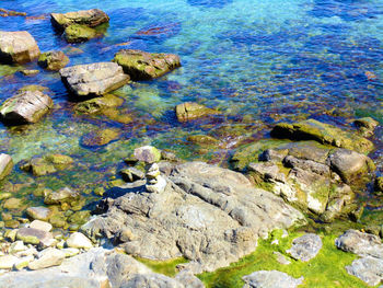 High angle view of rocks on shore