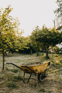 Old wheelbarrow