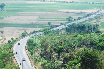 High angle view of road amidst trees