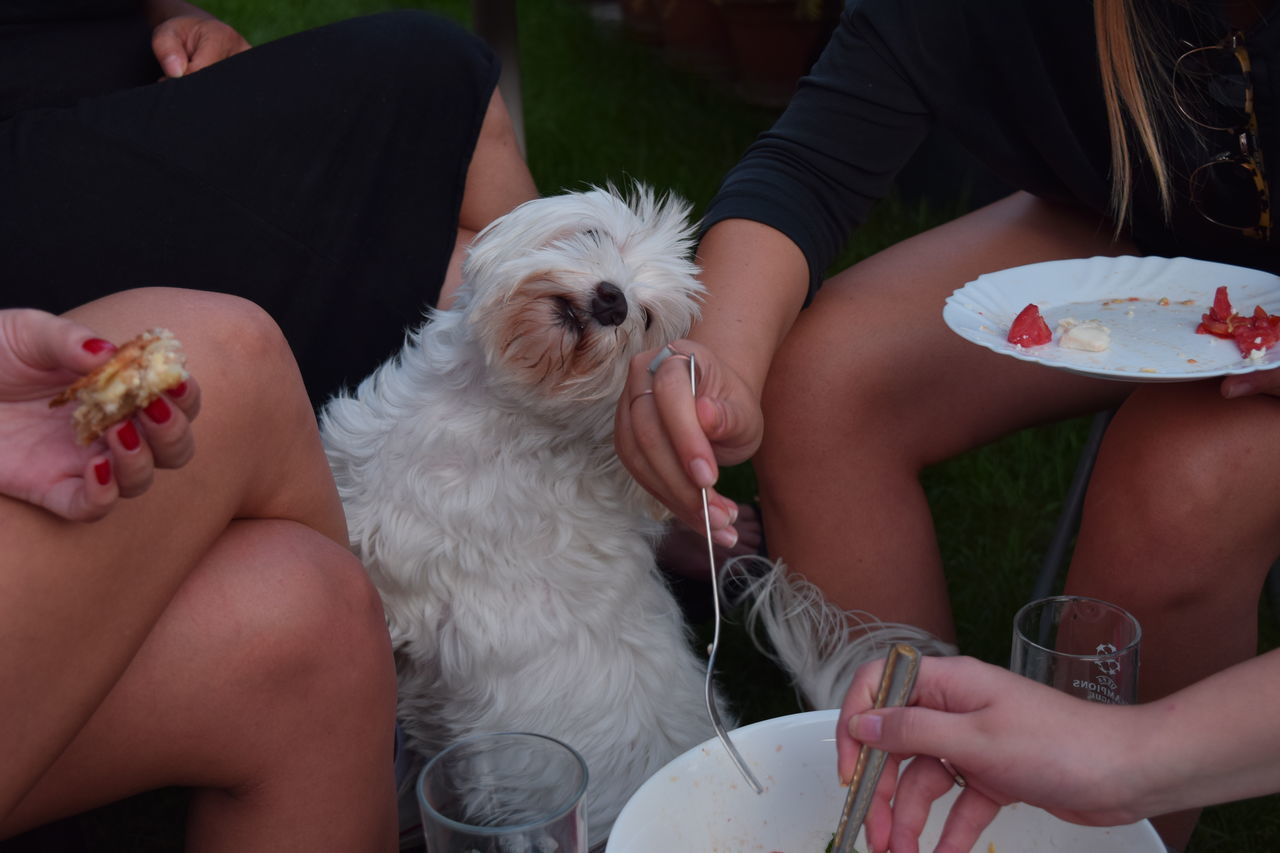 Friends eating and drinking